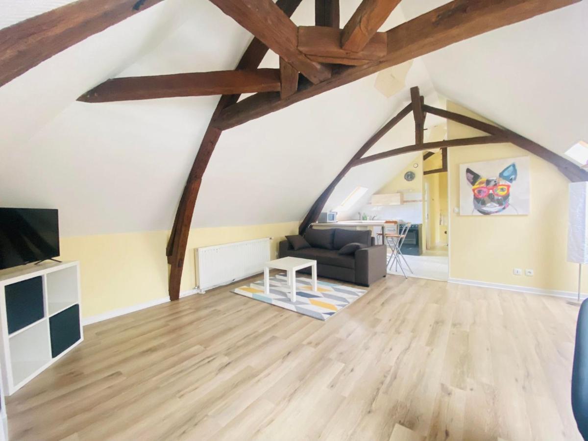 Apartament A Deux Pas De La Cathedrale Laon Zewnętrze zdjęcie